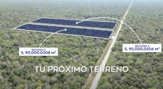 TERRENOS EN VENTA DE 90,000 m CADA UNO, RUTA DE LOS CENOTES PUERTO MORELOS