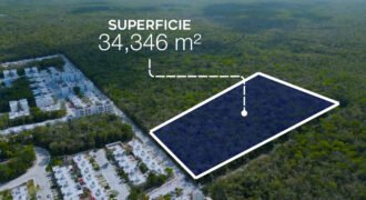TERRENO EN VENTA EN PUERTO MORELOS DE 34,346.76 m