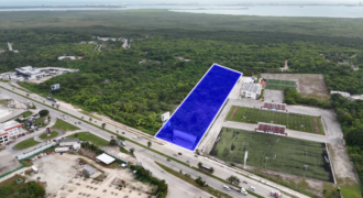 Terreno en venta 13,982 m sobre Av Colosio en Cancún