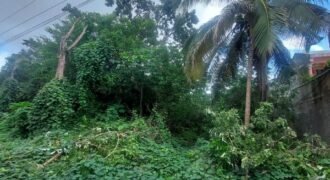 Terreno en Venta en La Veleta, Tulum – A Solo una Esquina de la Quinta Avenida